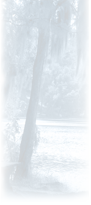 Colclough Lake