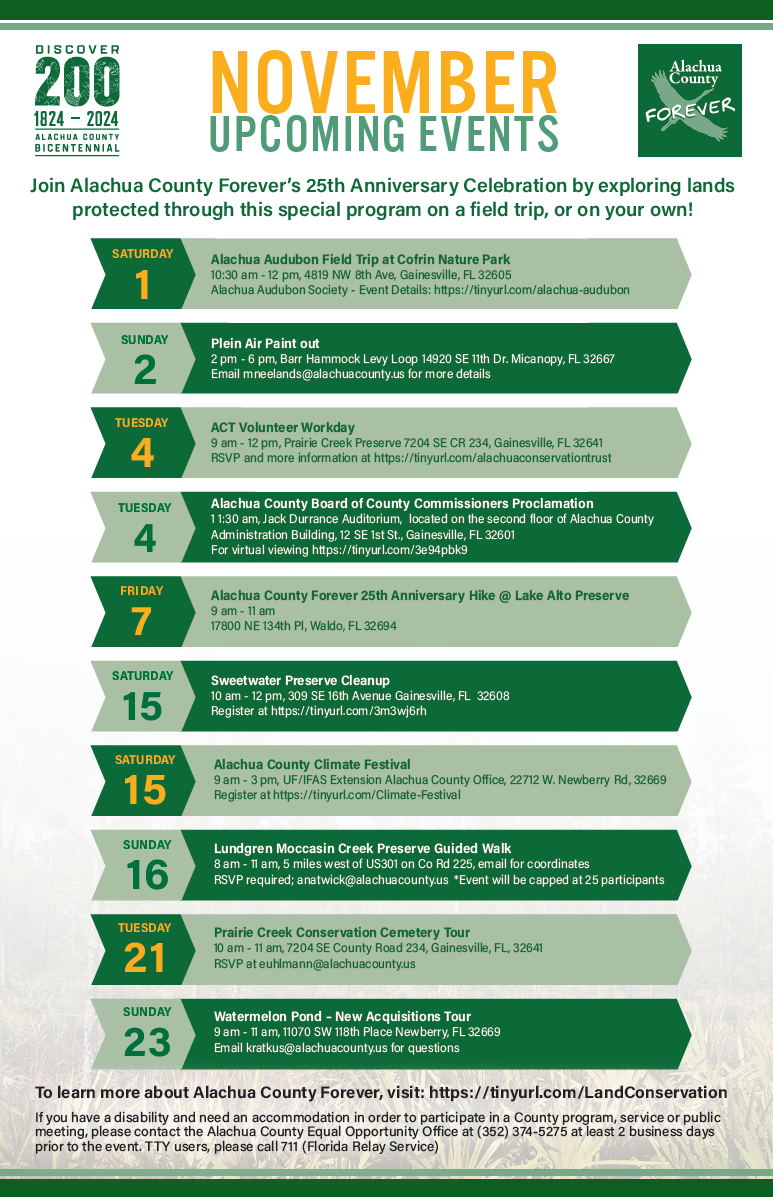 November events flyer. Click the image to open full PDF