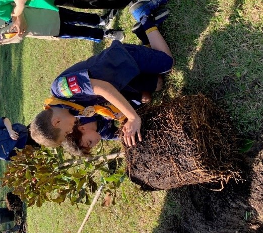 Tree planting volunteers