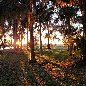 Marjorie K. Rawlings Park