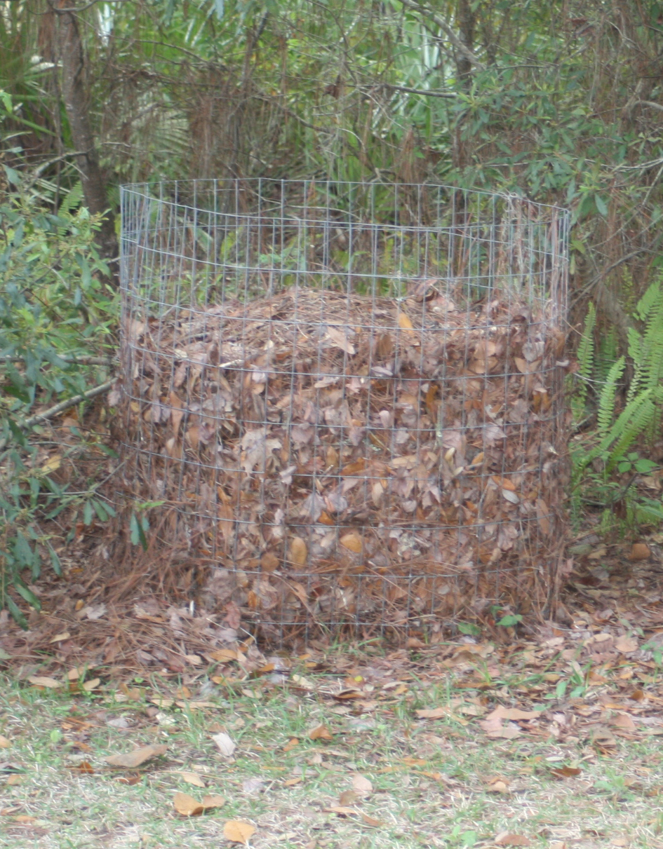 Wire Bin