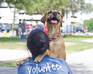 We woof our volunteers