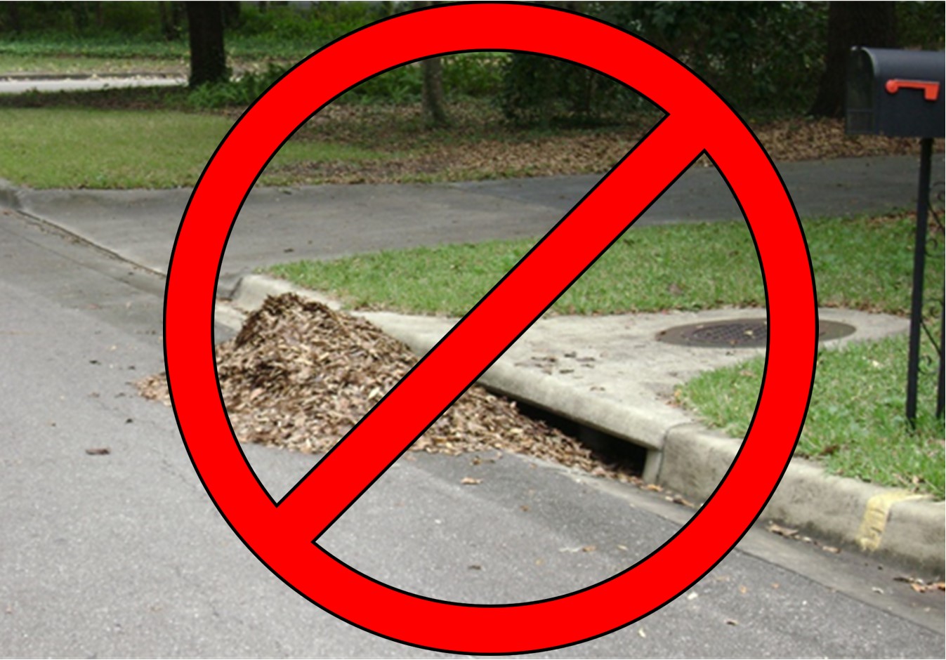 No leaves, grass, or other vegetative debris in stormdrains