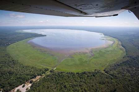 Newnans Lake during the drought of 2012