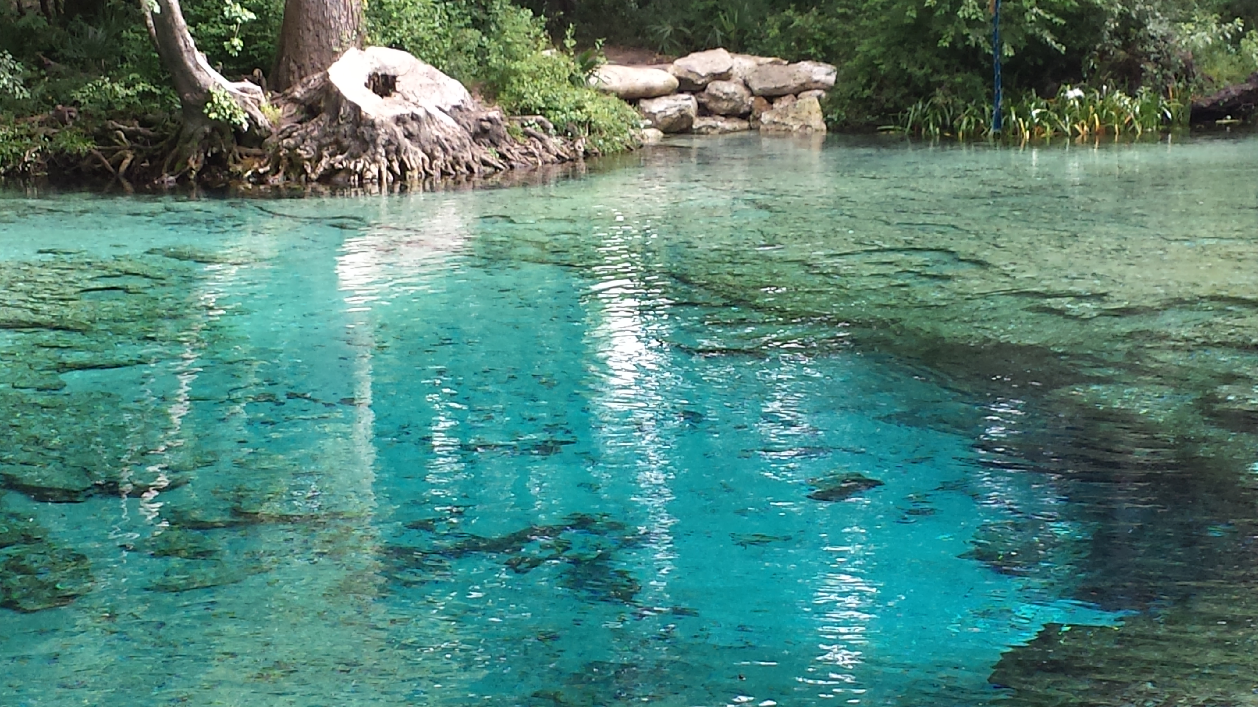 Ginnie Springs