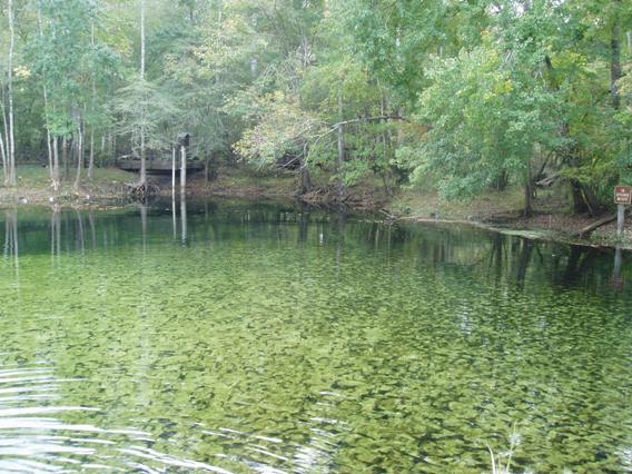 Poe Springs