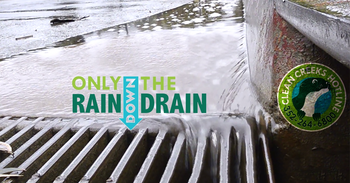 Only Rain Down the Drain