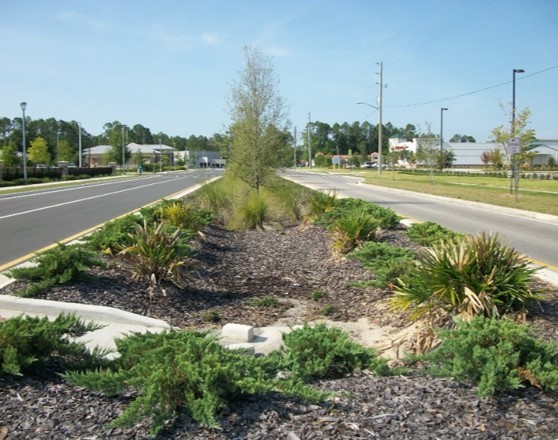 Roadway median showing Low Impact Development