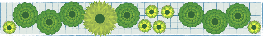 graphic