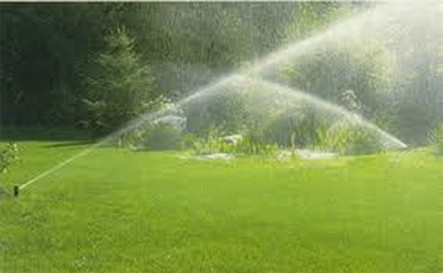 Photo of irrigation