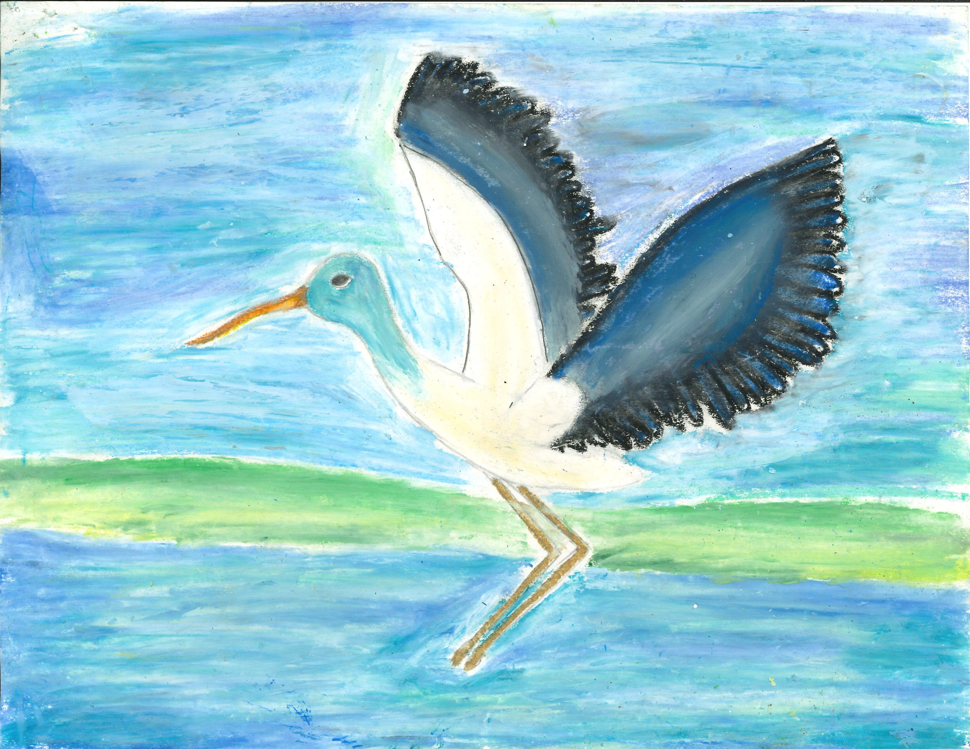 5th Grade - 1st Place and Calendar Selection, Wood Stork