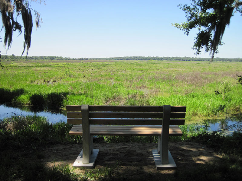 Bench on South Loop